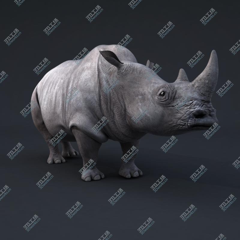 images/goods_img/2021040161/Rhino RIGGED/5.jpg
